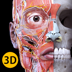 تحميل برنامج Anatomy 3D Atlas مهكر 2024 للاندرويد